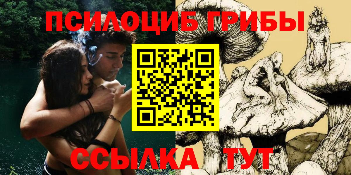 Владивосток  Псилоцибиновые грибы MAGIC MUSHROOMS  Псилоцибиновые грибы мицелий  Вход с VPN 