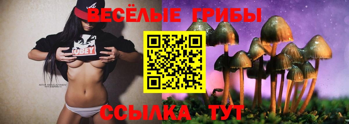 Галлюциногенные грибы MAGIC MUSHROOMS Владивосток